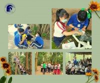 Hè 2022 này, các bạn đã có kế hoạch gì đặc biệt chưa?