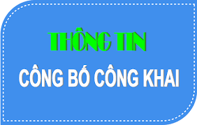 BÁO CÁO TÀI CHÍNH 6 THÁNG ĐẦU NĂM 2025