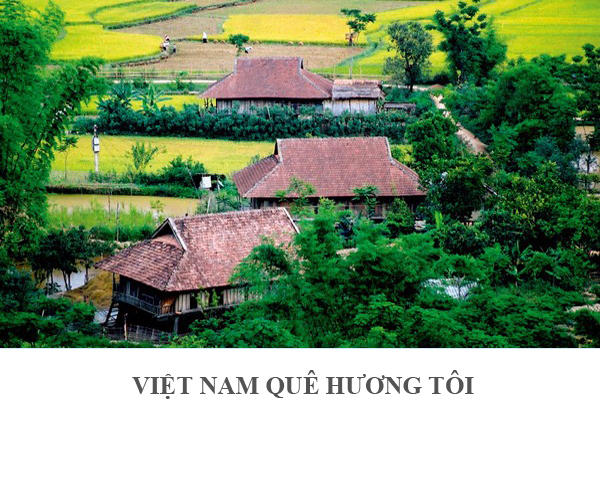 Việt Nam Quê hương tôi